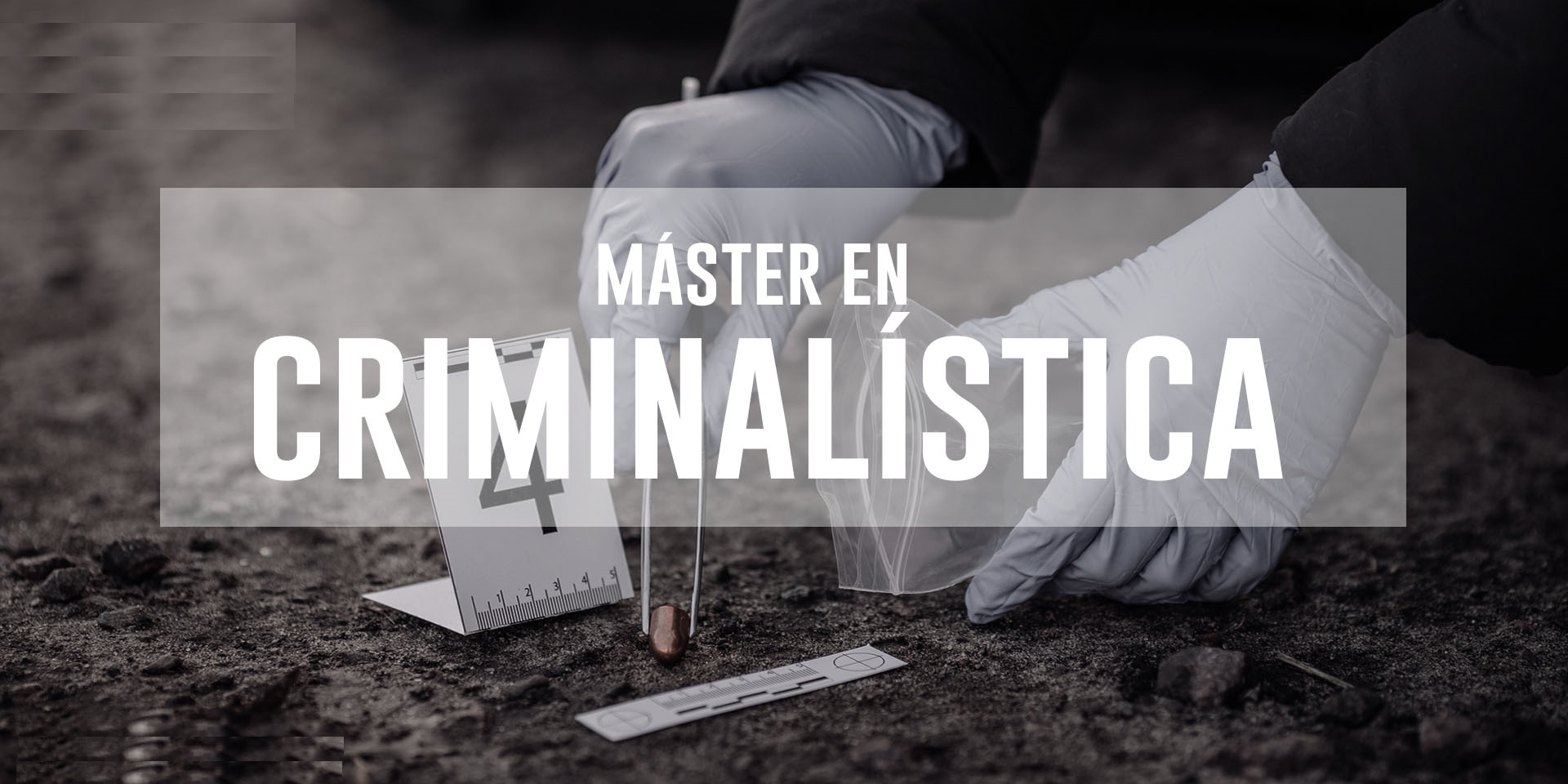 Master Criminología Online