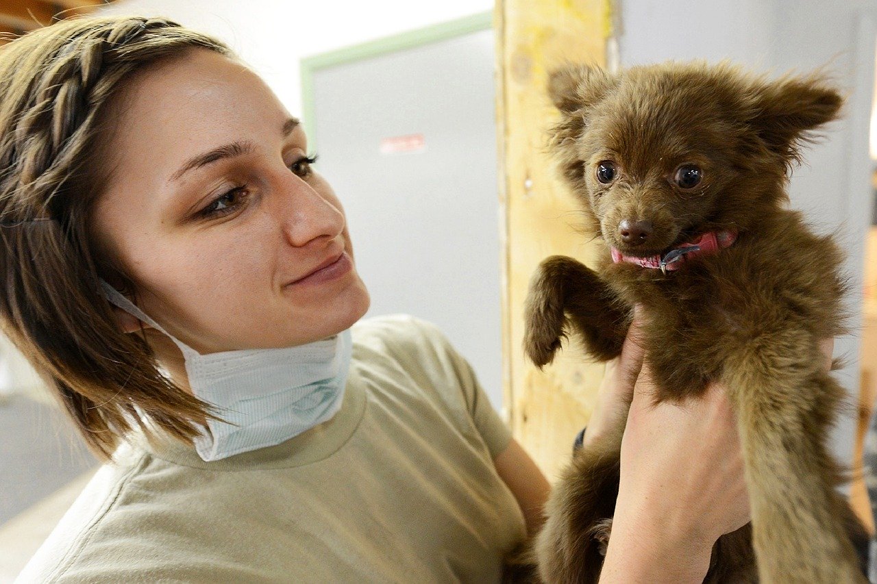 Curso de Auxiliar de Veterinaria